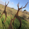 Doe Image Metal Garden Artwork