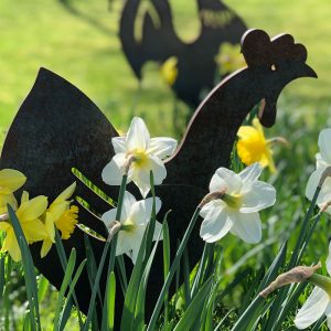 Hen in flowers, Metal Artwork Silhouette