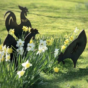 Garden Metal Artwork - Set of Chickens. Pecker, Rooster, Hen