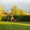 Metal Deer Family for the Garden