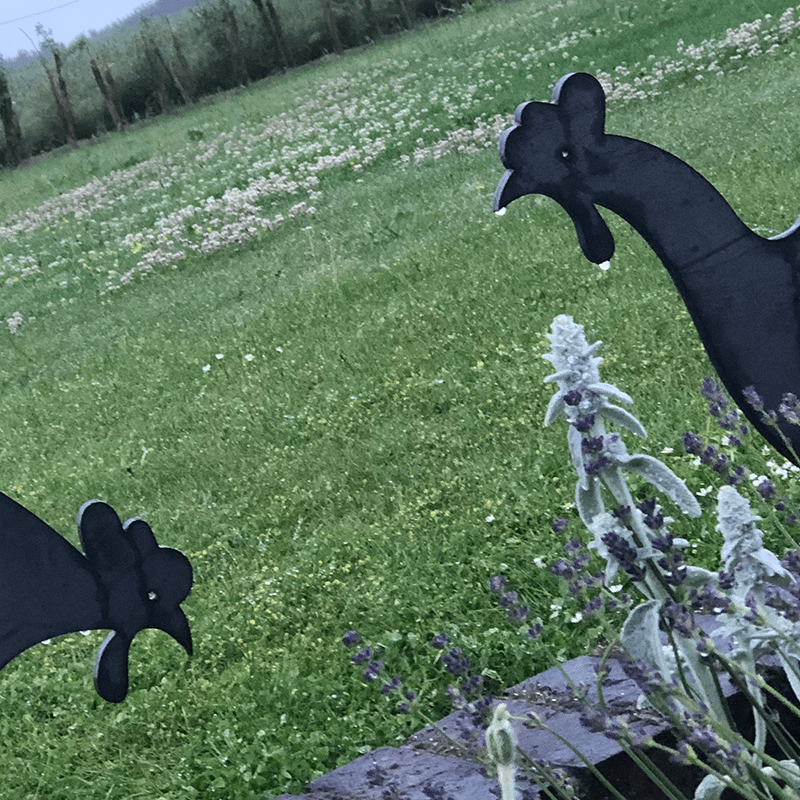 Metal Chickens in Garden