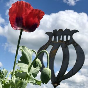 Poppy seed head Garden Artwork