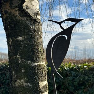 Woodpecker