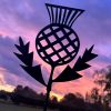 Thistle - Garden Metal Artwork