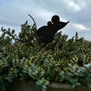 Mouse Garden Artwork