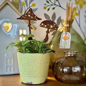 Houseplant Partners