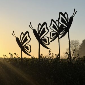 Metal butterfly garden artworks displayed as a grouped cluster in a garden at sunrise.